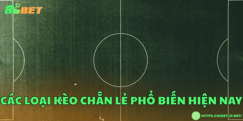 Kèo chẵn lẻ là gì? Các loại kèo chẵn lẻ phổ biến Các loại kèo chẵn lẻ phổ biến hiện nay