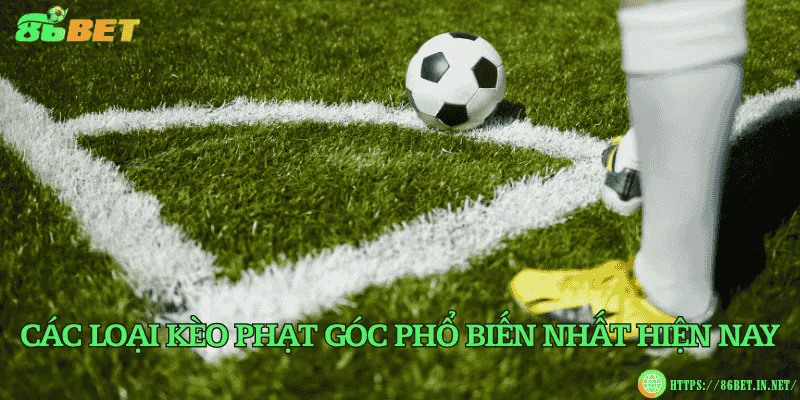 Kèo phạt góc – Bí quyết đọc và soi kèo hiệu quả Các loại kèo phạt góc phổ biến nhất hiện nay