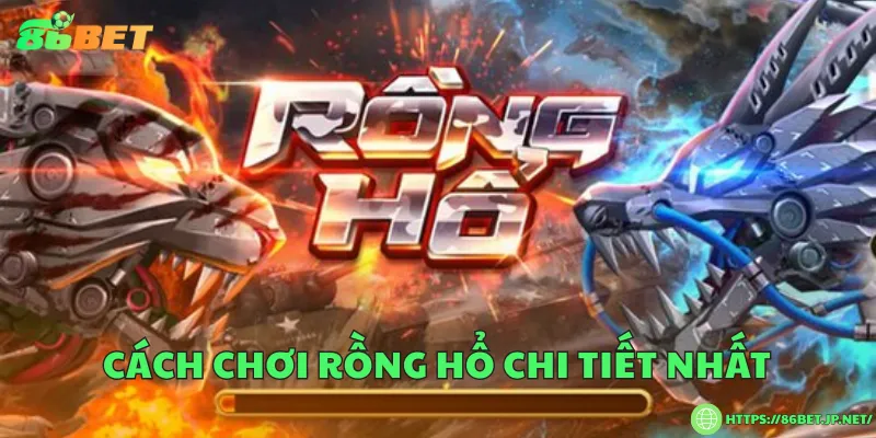 Cách chơi rồng hổ chi tiết nhất