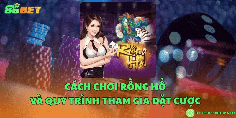 Cách chơi rồng hổ và quy trình tham gia đặt cược