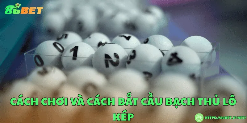Bạch thủ lô kép là gì? Cách chơi, cách bắt và tỷ lệ thắng Cách chơi và cách bắt cầu bạch thủ lô kép