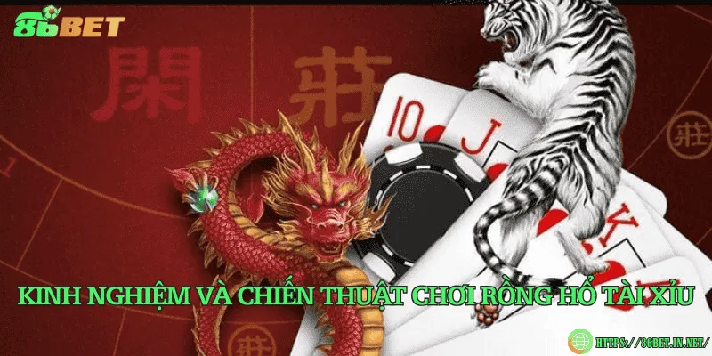 Kinh nghiệm và chiến thuật chơi rồng hổ tài xỉu