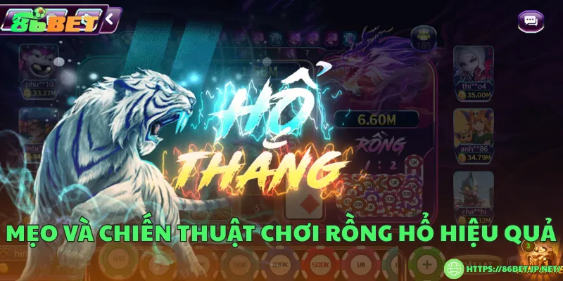 Mẹo và chiến thuật chơi rồng hổ hiệu quả